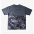ფოტო #4 პროდუქტის DC SHOES Deep End short sleeve T-shirt