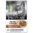 PURINA NESTLE Pro Plan Sterilised Beef 85g Wet Cat Food