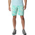 Фото #1 товара COLUMBIA Washed Out™ Printed Shorts