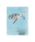 Beth Grove Coastal Sea Life I v2 Canvas Art - 27" x 33.5"