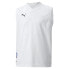 Фото #1 товара PUMA Neymar Jr Thrill Sl short sleeve T-shirt