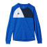 Фото #1 товара Adidas Assita 17 Jr AZ5404 sweatshirt
