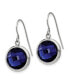 ფოტო #2 პროდუქტის Stainless Steel Polished Blue Glass Dangle Earrings