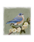 Victoria Borges Bluebird Branch I Canvas Art - 15" x 20"