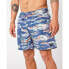 RIP CURL Scenic Volley Swimming Shorts