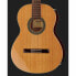 Alhambra 2C incl. Gig Bag