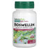 NaturesPlus, Herbal Actives, босвеллин, 300 мг, 60 веганских капсул