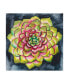 Фото #1 товара Chariklia Zarris Succulent Rosette III Canvas Art - 20" x 25"