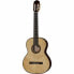 Amalio Burguet 1DV Spruce w/ Case