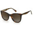 ფოტო #1 პროდუქტის POLAROID PLD4096SX086L Sunglasses