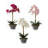 Фото #2 товара Декоративное растение Орхидея 16 x 48 x 28 cm Пластик (4 штук)