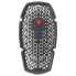 Фото #1 товара DAINESE Pro-Armor G1 2.0 Back Protector