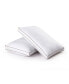 Фото #1 товара Medium Firm Goose Feather and Down Pillows, 2-Pack Standard
