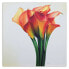 Фото #3 товара Wandbilder Calla Lilien Blumen Orange