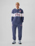 Фото #1 товара Team USA Joggers