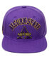 ფოტო #4 პროდუქტის Men's Purple Alcorn State Braves Evergreen Arch Over Logo Snapback Hat