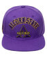 Men's Purple Alcorn State Braves Evergreen Arch Over Logo Snapback Hat