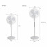 Freestanding Fan Oceanic 684161