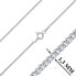 Silver necklace Snowflake ZTJ81189VSW (chain, pendant)