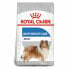 Фото #1 товара ROYAL CANIN CCN Maxi Digestive Care 12kg Dog Food