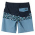 QUIKSILVER Everyday Panel Swimming Shorts