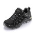 Кроссовки Alpine Pro Cormen Hiking Shoes