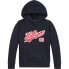 Фото #1 товара TOMMY HILFIGER Script hoodie