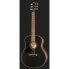 Taylor AD11e Blacktop LH