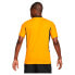 Фото #2 товара Футбольная футболка Nike Kaizer Chiefs FC Home 21/22