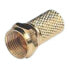 Фото #1 товара GLOMEX Male Gold Plated Connector