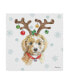 Фото #1 товара Beth Grove Holiday Paws VI Canvas Art - 15" x 20"