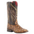 Фото #3 товара Ferrini Bronco Pirarucu Embroidery Square Toe Cowboy Womens Brown Dress Boots 9