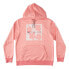 DC SHOES Aw Snowstar hoodie