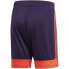 Фото #5 товара Adidas Tastigo 19 Shorts M DP3252 shorts