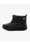 Фото #1 товара Ботинки женские Skechers D'lux Walker-winter Up черные 167268 Bbk