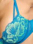 Фото #3 товара Ann Summers Honey Suckle padded plunge bra in blue and green contrast