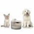 INNOVAGOODS Refopet Cat Drinking Fountain