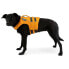 Фото #6 товара RUFFWEAR Float Dog Jacket