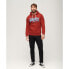 SUPERDRY Vl Duo hoodie