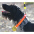Фото #3 товара Звонок для собак CANIHUNT Alp Passing 6 см