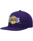 Men's Purple Los Angeles Lakers Retro Bolt Deadstock Snapback Hat