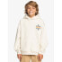 QUIKSILVER Screen hoodie