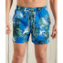 Фото #1 товара SUPERDRY Super 5s Beach Volley Swimming Shorts