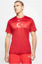 Фото #1 товара TÜRKİYEM Milli Takım Unisex Forma Tshirt