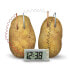 Фото #2 товара 4M Green Science/Potato Clock Science Kits
