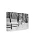 Фото #2 товара Monte Nagler Snow Scenes Canvas Art - 20" x 25"