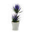 Фото #4 товара Декоративное растение сочный Керамика Пластик 10 x 30 x 10 cm (12 штук)
