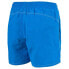 ARENA Bywayx Swimming Shorts