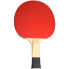 Фото #8 товара Ping-pong racket Butterfly Timo Boll SG11 85012