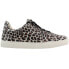 COCONUTS by Matisse Relay Leopard Womens Brown, Off White Sneakers Casual Shoes